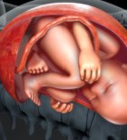 שלבי היריון ולידה - תמונת אווירה